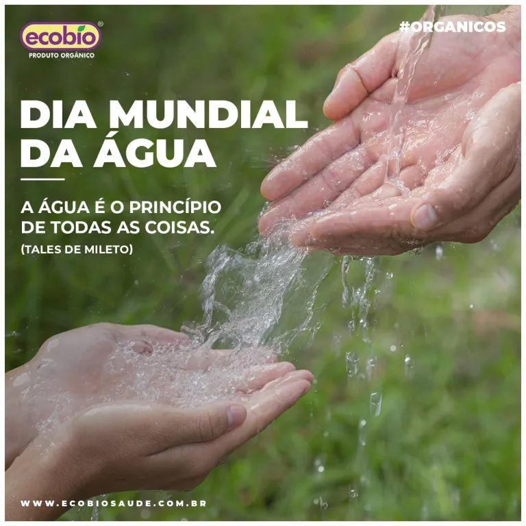 Dia Mundial da água